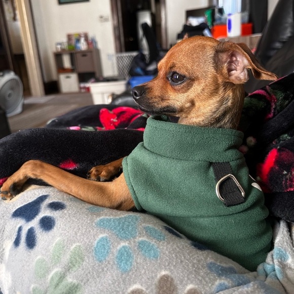 Meet Your Posher - Picture 16 of 16